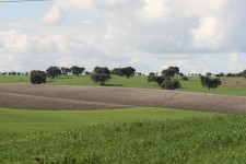 I13346-ROTATERRITXXRIO11.JPG I13346-ROTATERRITXXRIO11.JPG