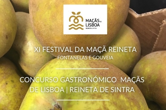 I14769-MACAS-REINETAS-550.JPG I14769-MACAS-REINETAS-550.JPG