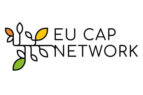 I15078-EUCAP-LOGO.JPG