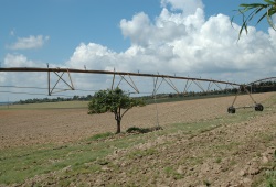 I2384-PAISAGEM_AGRICOLA_NEWS.JPG