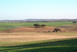 I2392-ALENTEJO.JPG