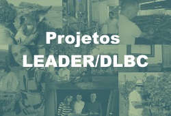 I2466-PROJETOS_LEADER_DLBC.JPG