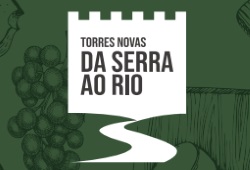 I2541-DA_SERRA_AO-RIO.JPG