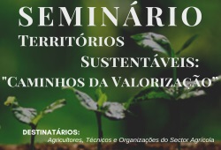 I2766-SEMINARIO-250.JPG