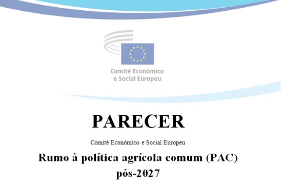 I3329-PARECER-CESE.JPG