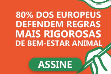 I3927-ICE-BEM-ESTAR-385.JPG I3927-ICE-BEM-ESTAR-385.JPG