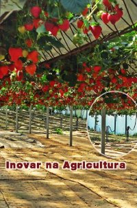 I12088-I12088-INOVARXNAXAGRICULTURA.2.JPG