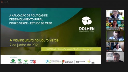 I13734-WEBINARIO-DOLMEN.JPG