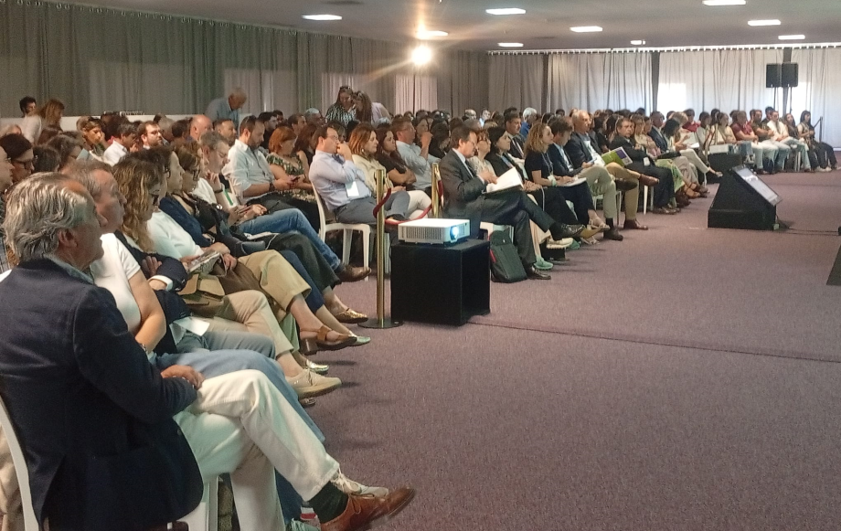 I15223-CONFERENCIA-1.PNG
